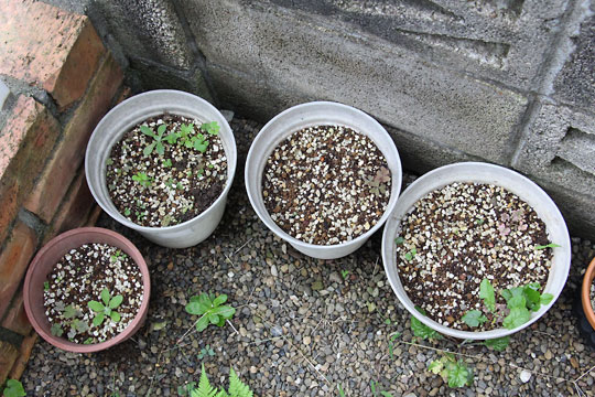 f:id:takahikonojima:20161009113111j:plain