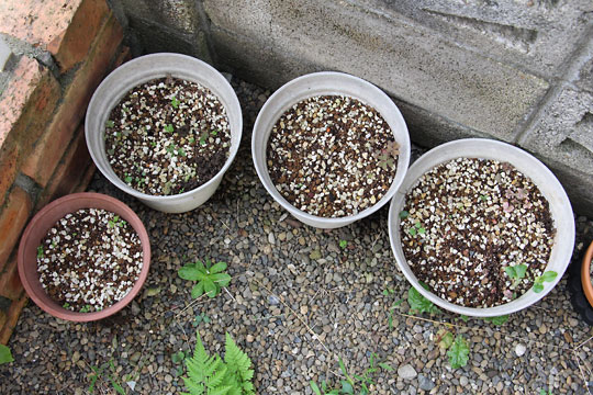 f:id:takahikonojima:20161009113129j:plain