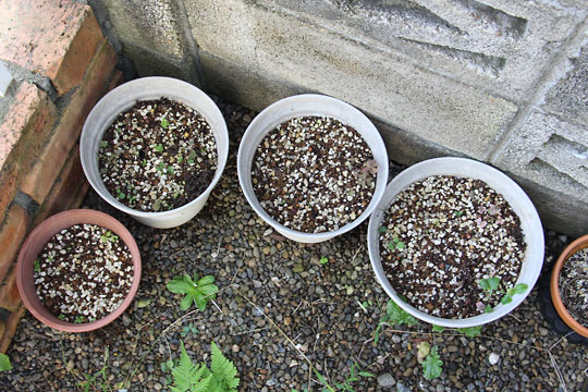 f:id:takahikonojima:20161009113139j:plain