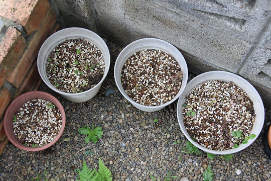 f:id:takahikonojima:20161009113146j:plain