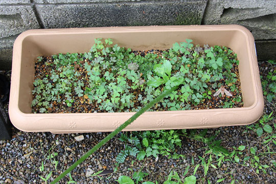 f:id:takahikonojima:20161015171852j:plain f:id:takahikonojima:20161015171852j:plain