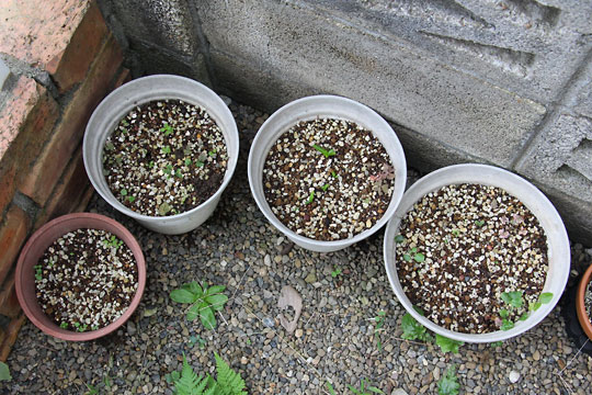 f:id:takahikonojima:20161015171907j:plain f:id:takahikonojima:20161015171907j:plain