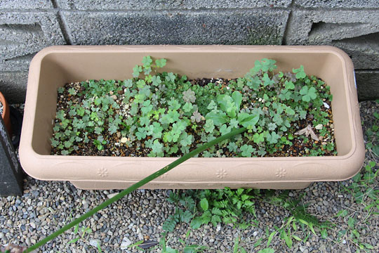 f:id:takahikonojima:20161015171912j:plain f:id:takahikonojima:20161015171912j:plain