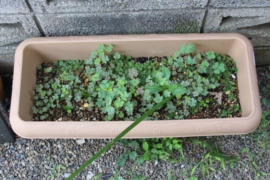 f:id:takahikonojima:20161015171923j:plain f:id:takahikonojima:20161015171923j:plain