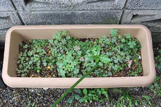 f:id:takahikonojima:20161015171932j:plain f:id:takahikonojima:20161015171932j:plain