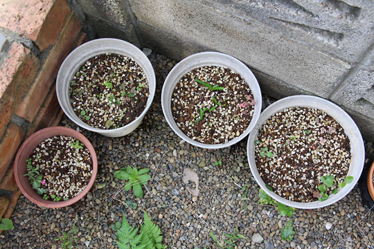 f:id:takahikonojima:20161015171935j:plain f:id:takahikonojima:20161015171935j:plain