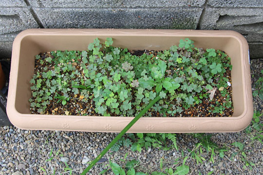 f:id:takahikonojima:20161015171940j:plain f:id:takahikonojima:20161015171940j:plain