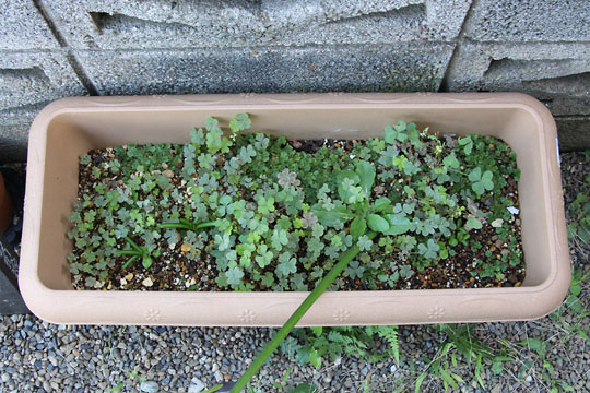 f:id:takahikonojima:20161015171948j:plain f:id:takahikonojima:20161015171948j:plain