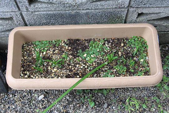 f:id:takahikonojima:20161020142914j:plain