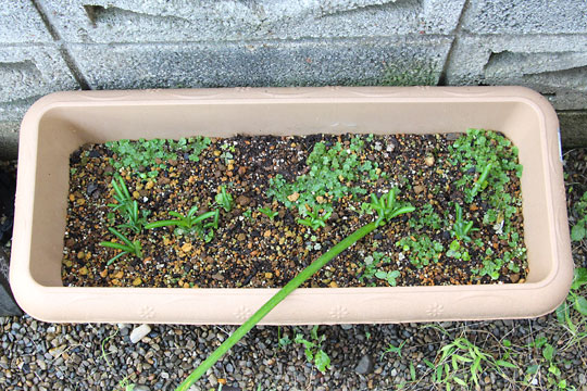 f:id:takahikonojima:20161020142922j:plain