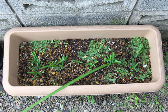 f:id:takahikonojima:20161020142929j:plain