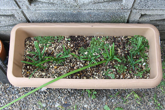 f:id:takahikonojima:20161023095255j:plain