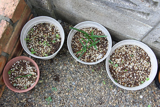 f:id:takahikonojima:20161023095402j:plain