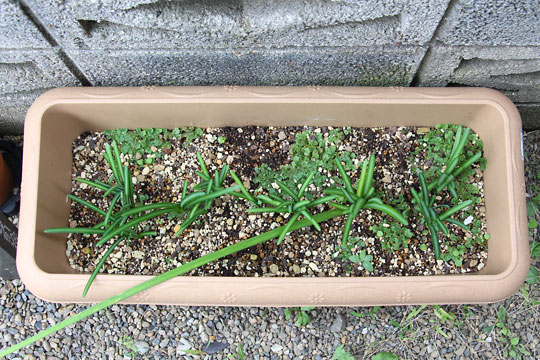 f:id:takahikonojima:20161023095405j:plain