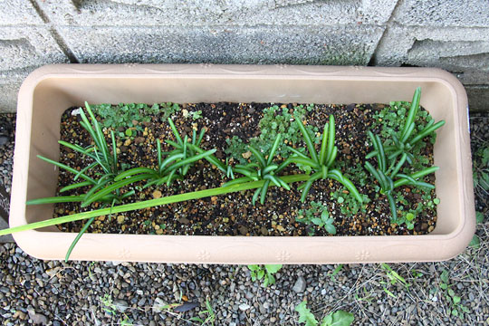 f:id:takahikonojima:20161029195733j:plain