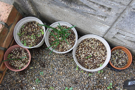 f:id:takahikonojima:20161107105018j:plain