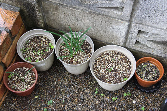 f:id:takahikonojima:20161107105033j:plain