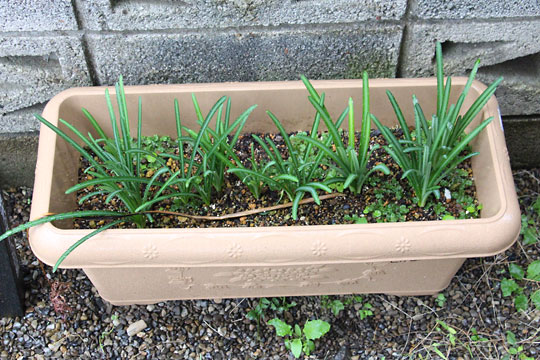 f:id:takahikonojima:20161107105038j:plain