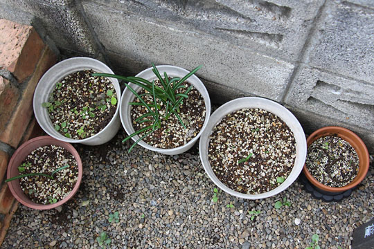 f:id:takahikonojima:20161107105042j:plain