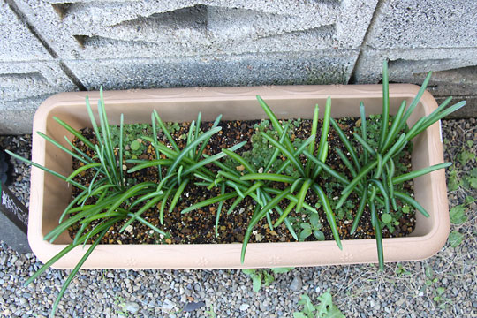 f:id:takahikonojima:20161107105106j:plain