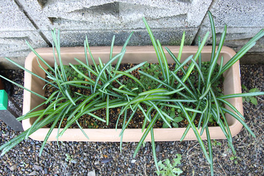 f:id:takahikonojima:20161126193937j:plain