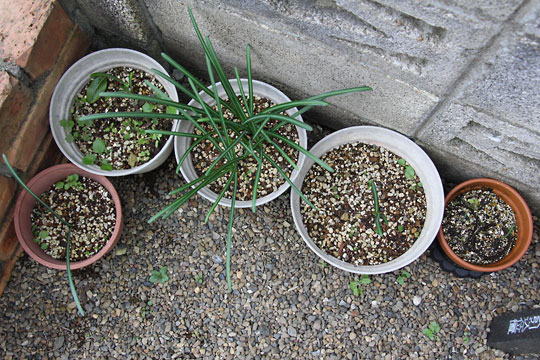 f:id:takahikonojima:20161126194001j:plain