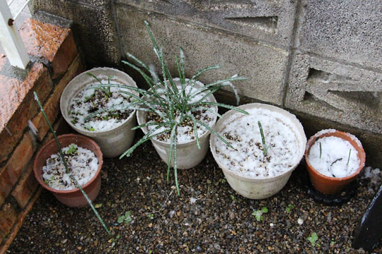 f:id:takahikonojima:20161126194009j:plain