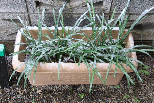 f:id:takahikonojima:20161126194014j:plain