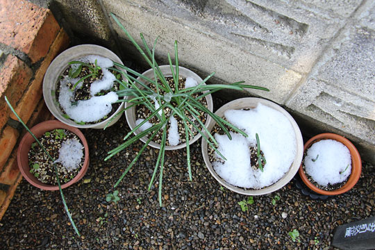 f:id:takahikonojima:20161126194019j:plain