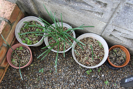 f:id:takahikonojima:20161127172227j:plain