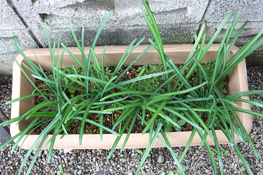 f:id:takahikonojima:20161203120144j:plain