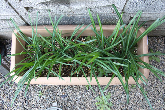 f:id:takahikonojima:20161203120159j:plain