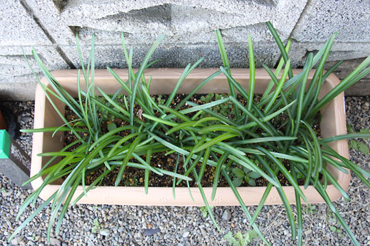 f:id:takahikonojima:20161203120215j:plain