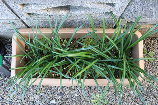 f:id:takahikonojima:20161203120232j:plain