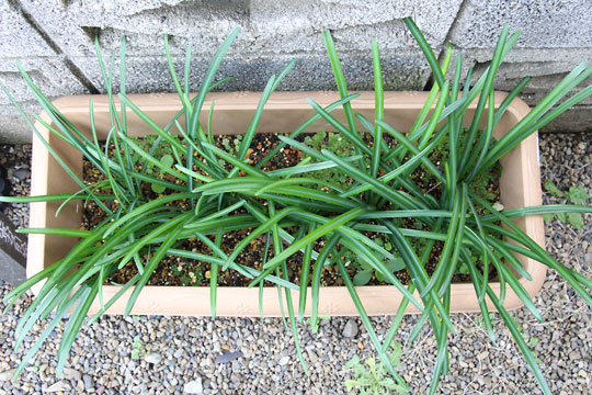 f:id:takahikonojima:20161210105754j:plain