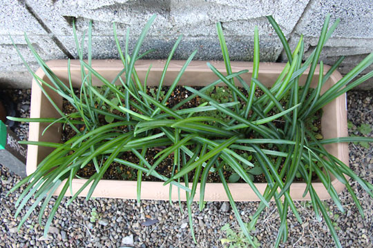 f:id:takahikonojima:20161210105825j:plain