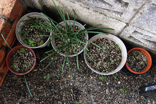 f:id:takahikonojima:20161210105907j:plain