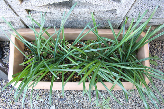 f:id:takahikonojima:20161210105923j:plain