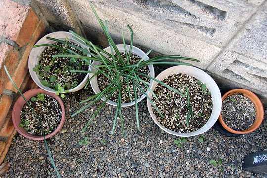 f:id:takahikonojima:20161219163446j:plain