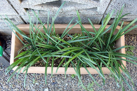 f:id:takahikonojima:20161219163450j:plain