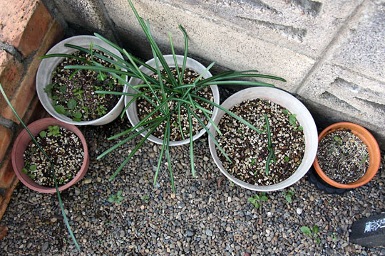 f:id:takahikonojima:20161219163459j:plain