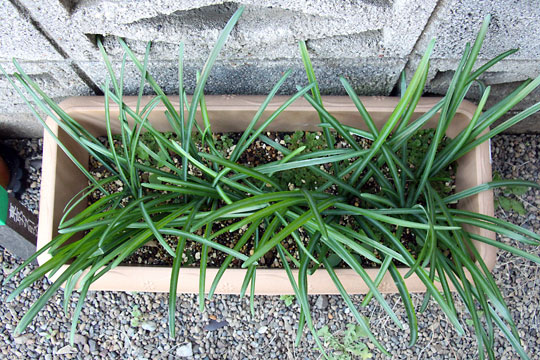 f:id:takahikonojima:20161219163502j:plain