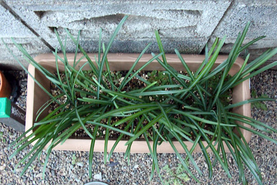 f:id:takahikonojima:20161219163509j:plain