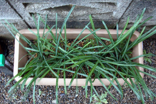 f:id:takahikonojima:20161219163524j:plain