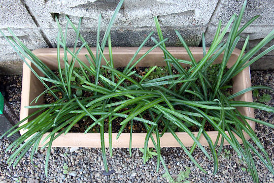 f:id:takahikonojima:20161219163535j:plain