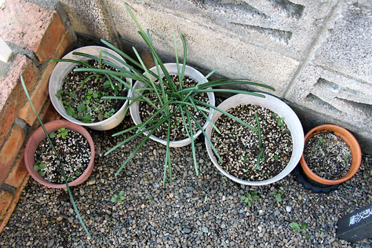 f:id:takahikonojima:20161219163551j:plain