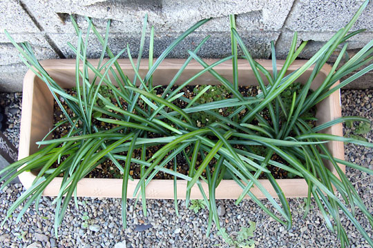 f:id:takahikonojima:20161219163555j:plain