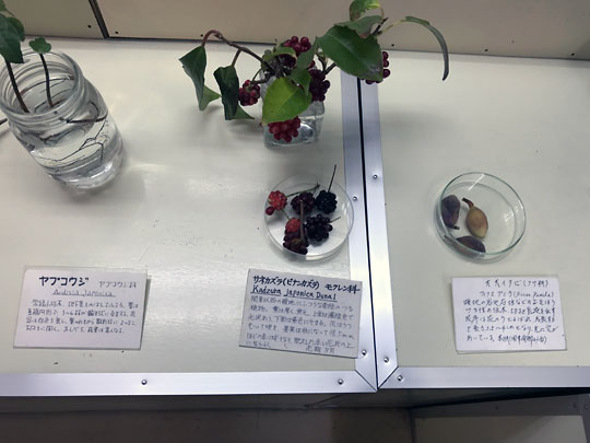 f:id:takahikonojima:20161227153102j:plain f:id:takahikonojima:20161227153102j:plain