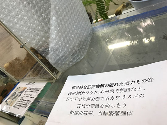 f:id:takahikonojima:20161227153118j:plain f:id:takahikonojima:20161227153118j:plain