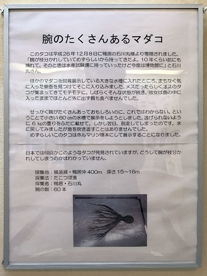 f:id:takahikonojima:20161227153134j:plain f:id:takahikonojima:20161227153134j:plain